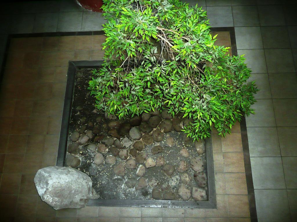 Like Home Apartments - 2 Rooms With Balcony فيلنيوس المظهر الخارجي الصورة